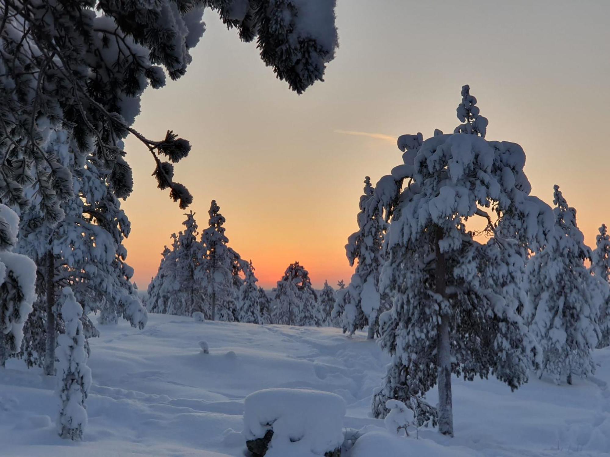 Make Yourself At Home Rovaniemi Ngoại thất bức ảnh